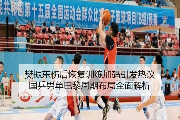 樊振东伤后恢复训练加码引发热议 国乒男单巴黎周期布局全面解析